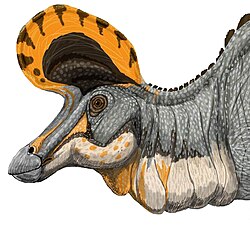 Restoration of a striking and unusual visual display in a Lambeosaurus magnicristatus. The crest may also have acted as a resonating chamber for sounds.