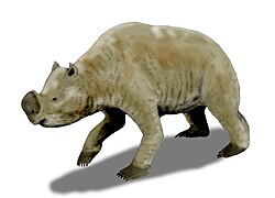 Reconstruction of Zygomaturus
