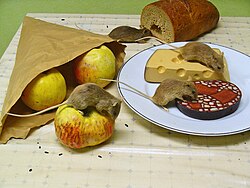 Infestation of mice. Taxidermy display, Staatliches Museum für Naturkunde Karlsruhe, Germany.