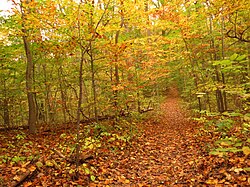 Rock Creek Park, the city's largest park, stretches across Northwest.