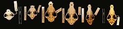 Skulls of different breeds, from left to right: pug; boxer; rottweiler; wolf; collie; standard poodle