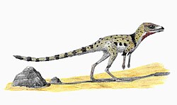 Life restoration of Scleromochlus, an archosauromorph theorized to be related to pterosaurs.