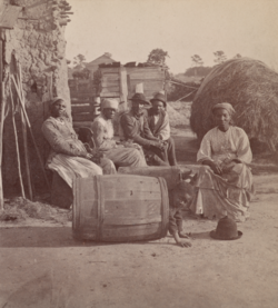 An African American family, photographed by O'Pierre Havens, c. 1868