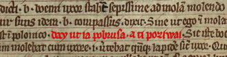 Book of Henryków. Highlighted in red is the earliest known sentence written in the Old Polish language