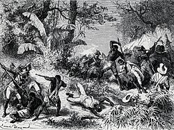 Battle between insurgent slaves and Napoleonic troops during the Haitian Revolution (1791-1804)