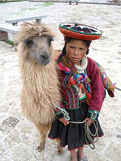 A Quechua girl in traditional dress with a llama in Cusco, Peru