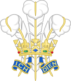 The Prince of Wales's feathers, which is the badge of the Prince of Wales as heir apparent to the crown of the United Kingdom.