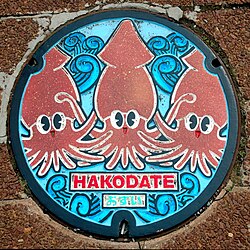 A Manhole cover