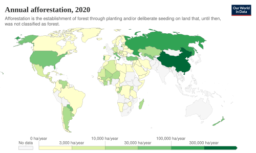 Annual afforestation