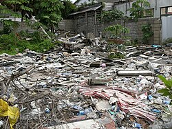An urban scene in Paramaribo featuring a few plants growing amidst solid waste and rubble behind some houses