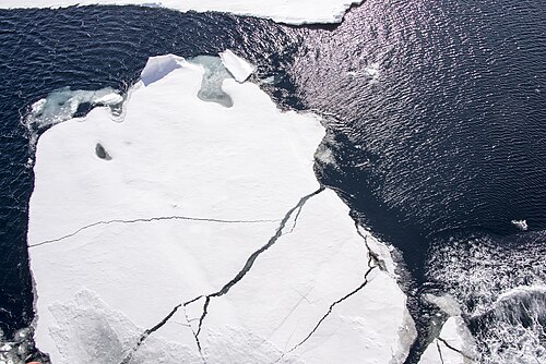 Sea ice reflects 50% to 70% of incoming sunlight, while the ocean, being darker, reflects only 6%. As an area of sea ice melts and exposes more ocean, more heat is absorbed by the ocean, raising temperatures that melt still more ice. This is a positive feedback process.[158]