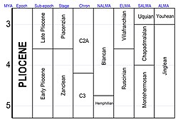 Some schemes for subdivisions of the Pliocene
