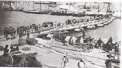 New Zealand Mounted Rifle Brigade transport crossing Pontoon Bridge at Serapeum 6 March 1916