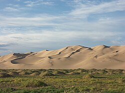 The sand dunes of Khongoryn Els, Gurvansaikhan NP, Mongolia