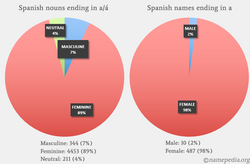 Statistical data on the Spanish nouns and names ending in a