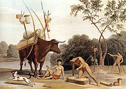 Khoikhoi dismantling their huts, preparing to move to new pastures. Aquatint by Samuel Daniell (1805).