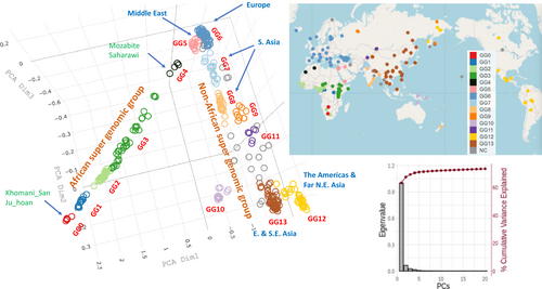 In a whole-genome study of modern-day ethnic groups in the world, Palestinian samples clustered in the "Middle Eastern genomic group" (shown as "GG5" in left image), which included samples from populations such as Samaritans, Bedouins, Jordanians, Iraqi Jews and Yemenite Jews. Left image shows clustering following principal component analysis with three dimensions. Top right image shows geographical locations where samples were collected.[122]
