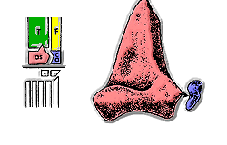The "advanced mesotarsal" ankle present in most avemetatarsalians.