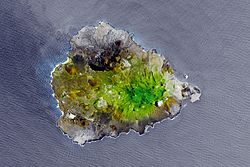 Satellite picture of Ascension Island in 2010