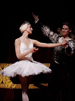 Classical music, opera and ballet: Swan Lake pictured