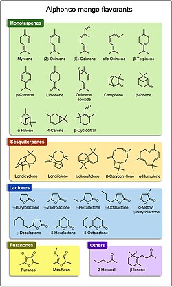 Major flavour chemicals of the 'Alphonso' mango from India