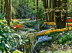 Keukenhof, Royparkal Tulip Park, Netherlands