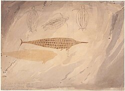 William Westall (1803) Chasm Island, native cave painting, 1803, watercolour