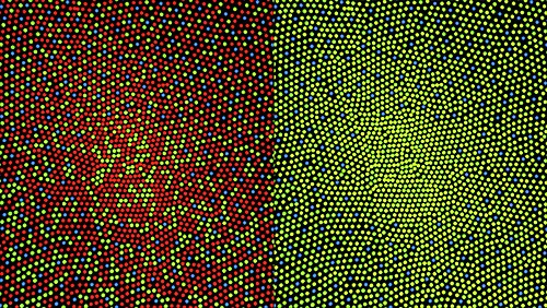 Illustration of the distribution of cone cells in the fovea of an individual with normal colour vision (left), and a colourblind (protanopic) retina. The center of the fovea holds very few blue-sensitive cones.