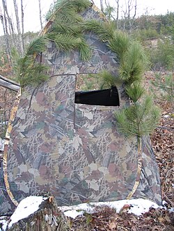 A hide used in field sports