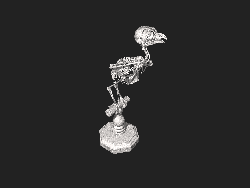 3D scan of little owl skeleton