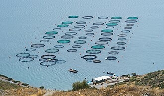 A fish farm on the coast of Euboea island, in South Euboean Gulf, Greece