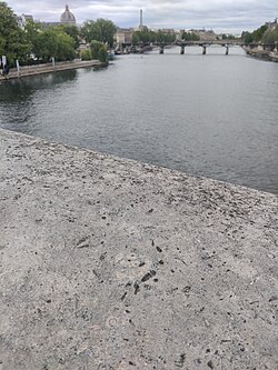Quarried stone used for building can often include small fossils - as seen here on Pont Neuf, Paris