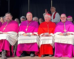 A cardinal, a nuncio and two bishops in Belgium.