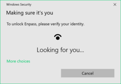 Windows Hello unlock prompt while using Enpass (a password manager)