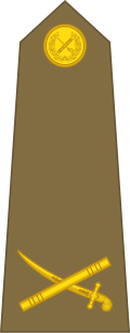 Rank insignia (until 1921)