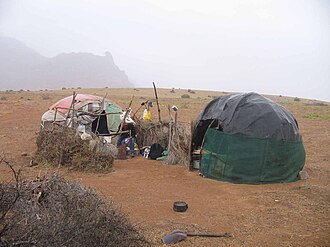 Haru oms huts.