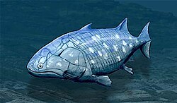 Guiyu oneiros, the earliest-known bony fish lived during the Late Silurian 419 million years ago.