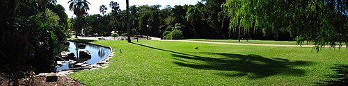 Panorama of the Brisbane City Botanic Gardens