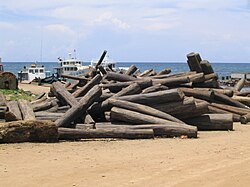 Stockpile and export of rosewood from illegal logging in Madagascar