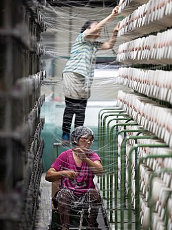 Manila hemp warp yarns being prepared for weaving in a modern textile factory