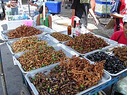 Insects and scorpions on sale in a food stall in Bangkok, Thailand