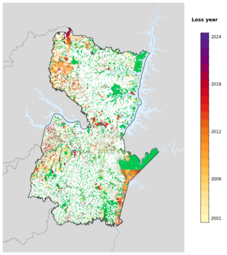 Map of Alto Paraná showing tree-cover loss years, with forest remaining since 2000 in green and loss years shaded yellow through purple.