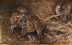 Bruno Liljefors - House sparrows among the thorns (1886)