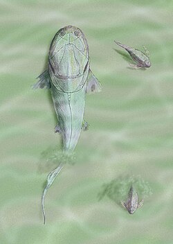 Homostius and Pterichthys