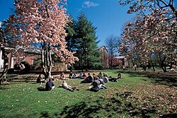 A Drew University class session held outdoors
