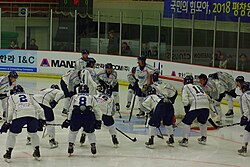 The Tohoku Free Blades in a pre-game circle wearing their away uniforms