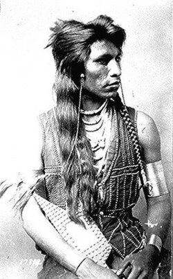 Rabbit-Tail or Moragootch (information varies[3][4]).