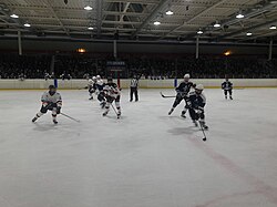 Darmstadt Dukes in the Eissporthalle