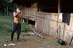 An Achuar man with a blowgun
