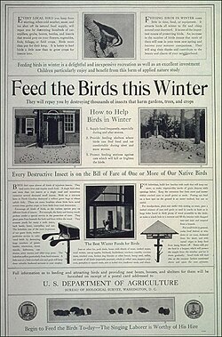 A 1918 call from the U.S. Department of Agriculture to feed birds in the winter.